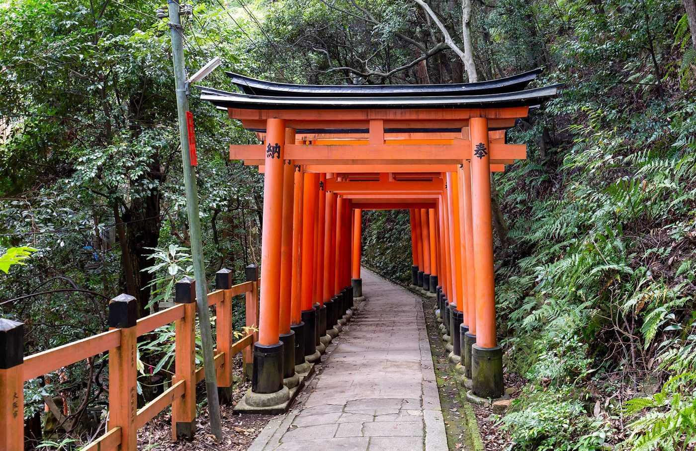 Path through a tunnel of red torii gates in the forest at Fushimi Inari
