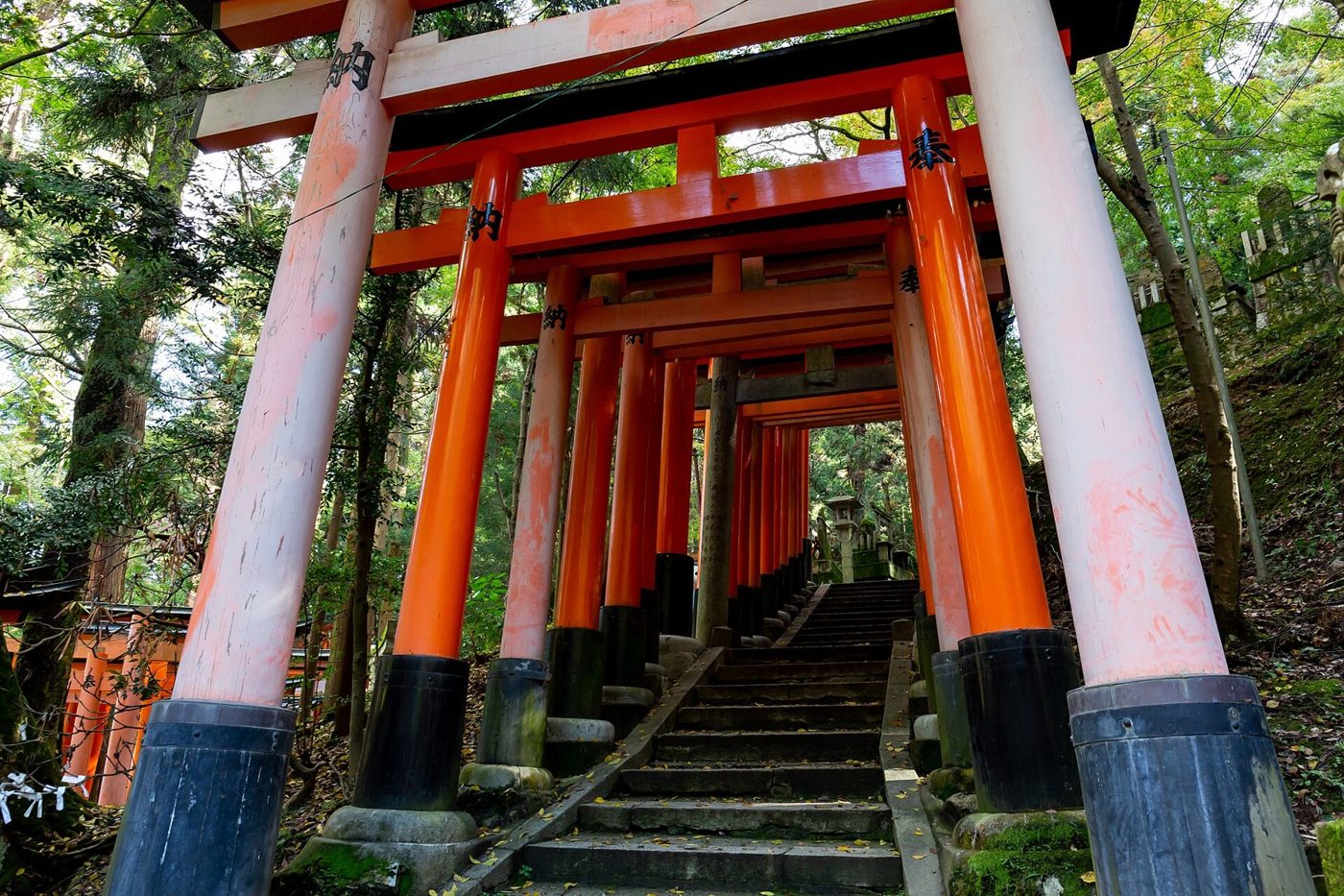 Rows of orange torii gates on a stone path at Fushimi Inari Shrine in Kyoto